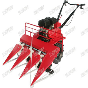 Máy cắt cây Ngô, cỏ Voi (Đông cơ Xăng)