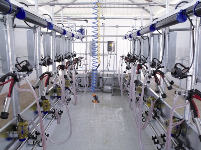 Milking Parlours
